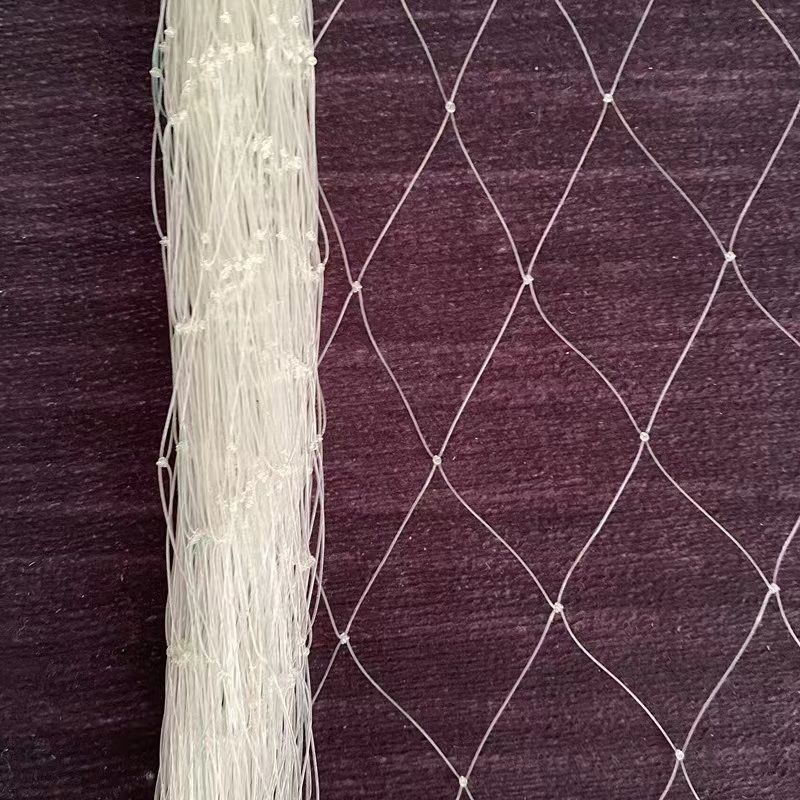 鱼塘专用防鸟网大鸟泥鳅青蛙养殖网大网眼防鸟天网池塘白鹭防