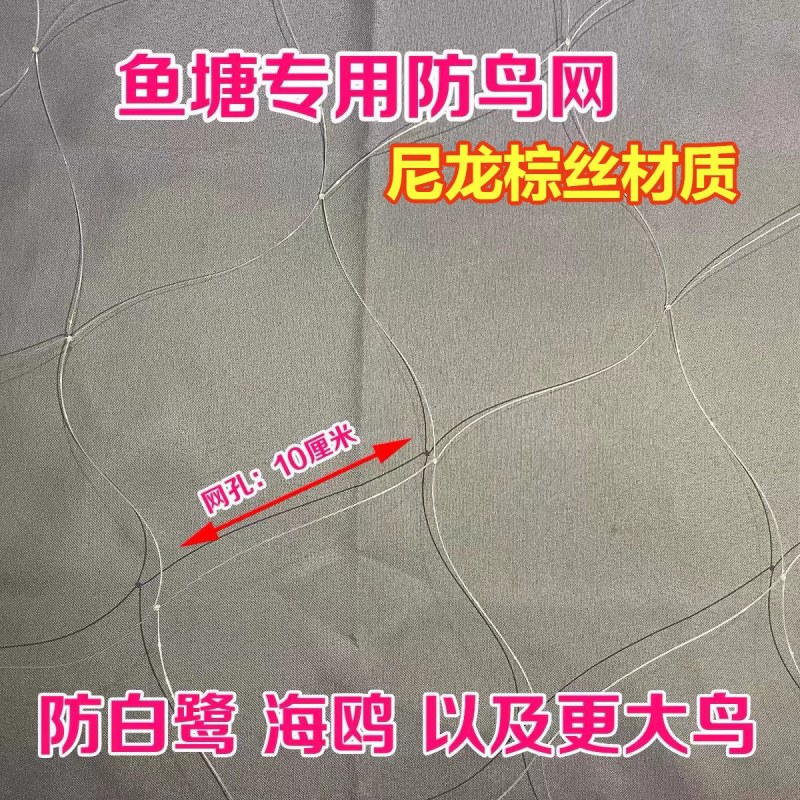鱼塘专用防鸟网大鸟泥鳅青蛙养殖网大网眼防鸟天网池塘白鹭防