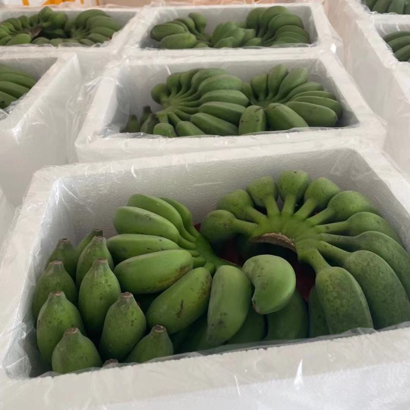 广西新鲜小米蕉，一件代发，团购，全平台一件代发