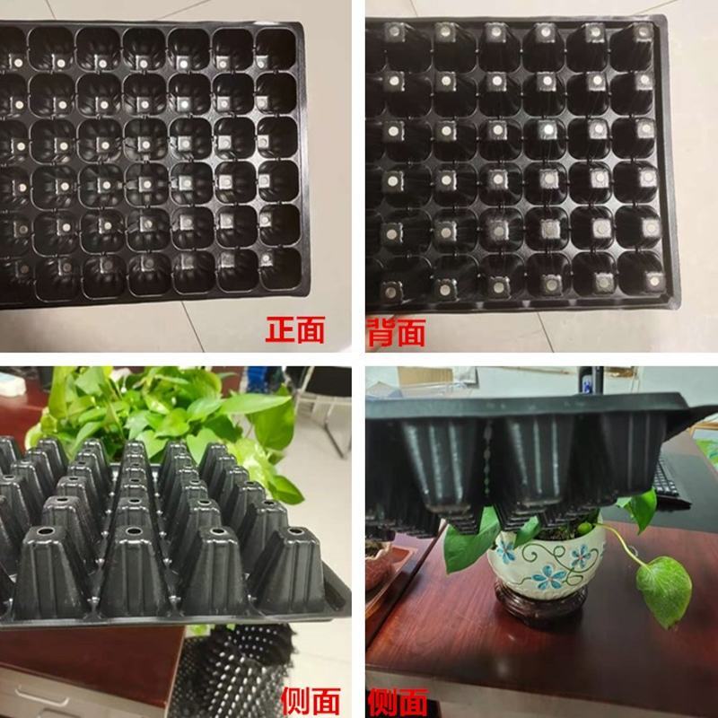穴盘育苗盘50孔72孔105孔128孔蔬菜育苗花卉育苗