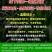 火凤凰大白菜种子红白菜籽橘红心白菜农家大田易种植抗病高产