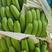 广西威廉斯香蕉大量上市基地直供量大从优欢迎咨询选购