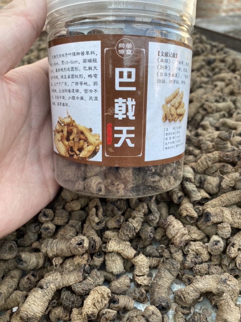 野生巴戟天抽芯蒸制已晒干的巴戟天肉