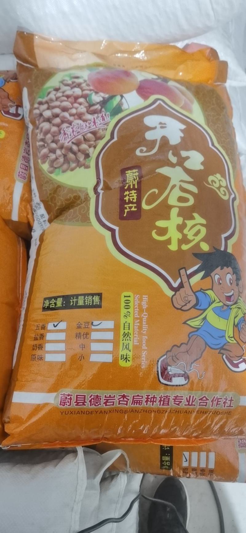 开口杏核