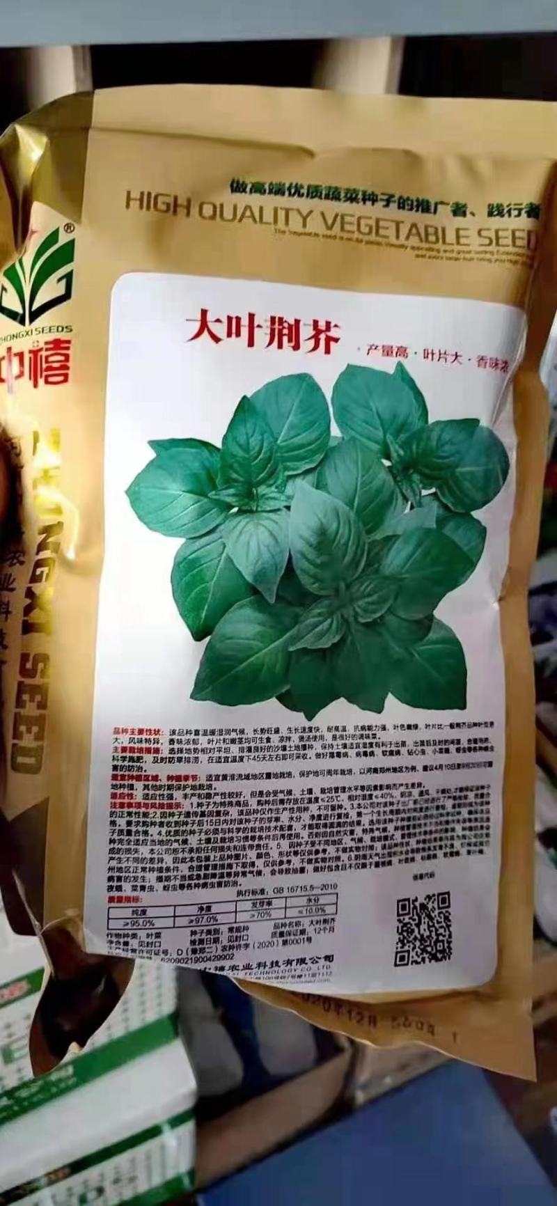 大叶荆芥种子浓香大叶荆芥种子袋装500g