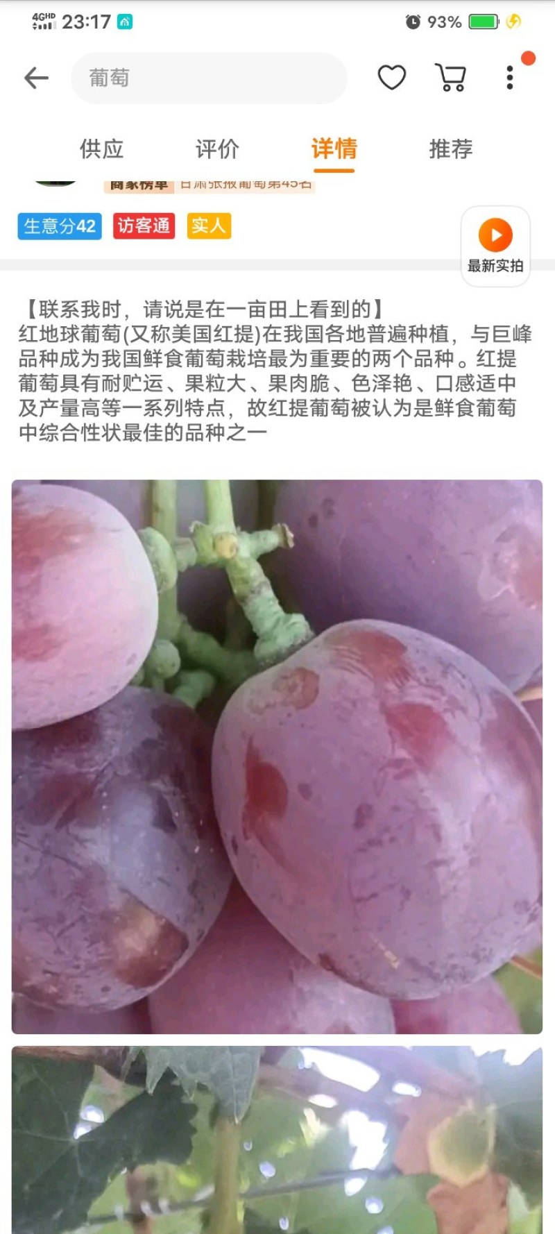 甘肃精品红提特产