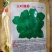大叶荆芥种子叶片大香味浓生长速度快500g
