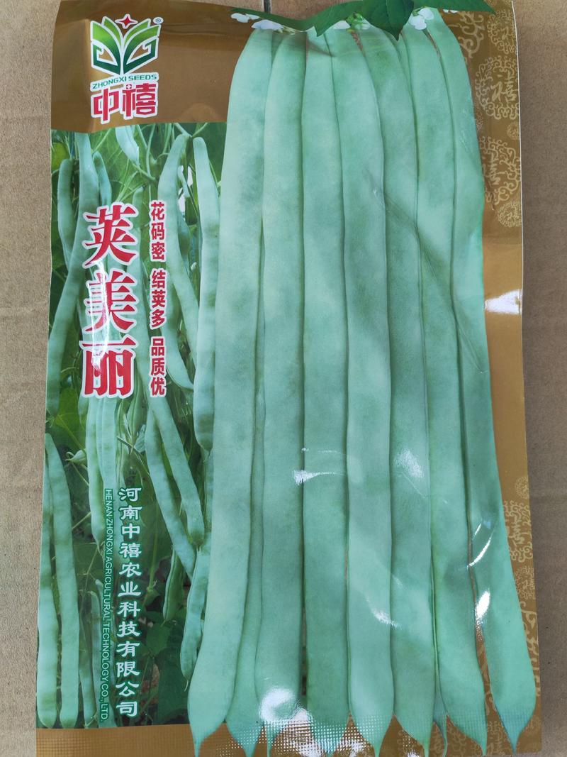 中禧长龙无筋豆种子芸豆种子荚长30-35厘米袋装