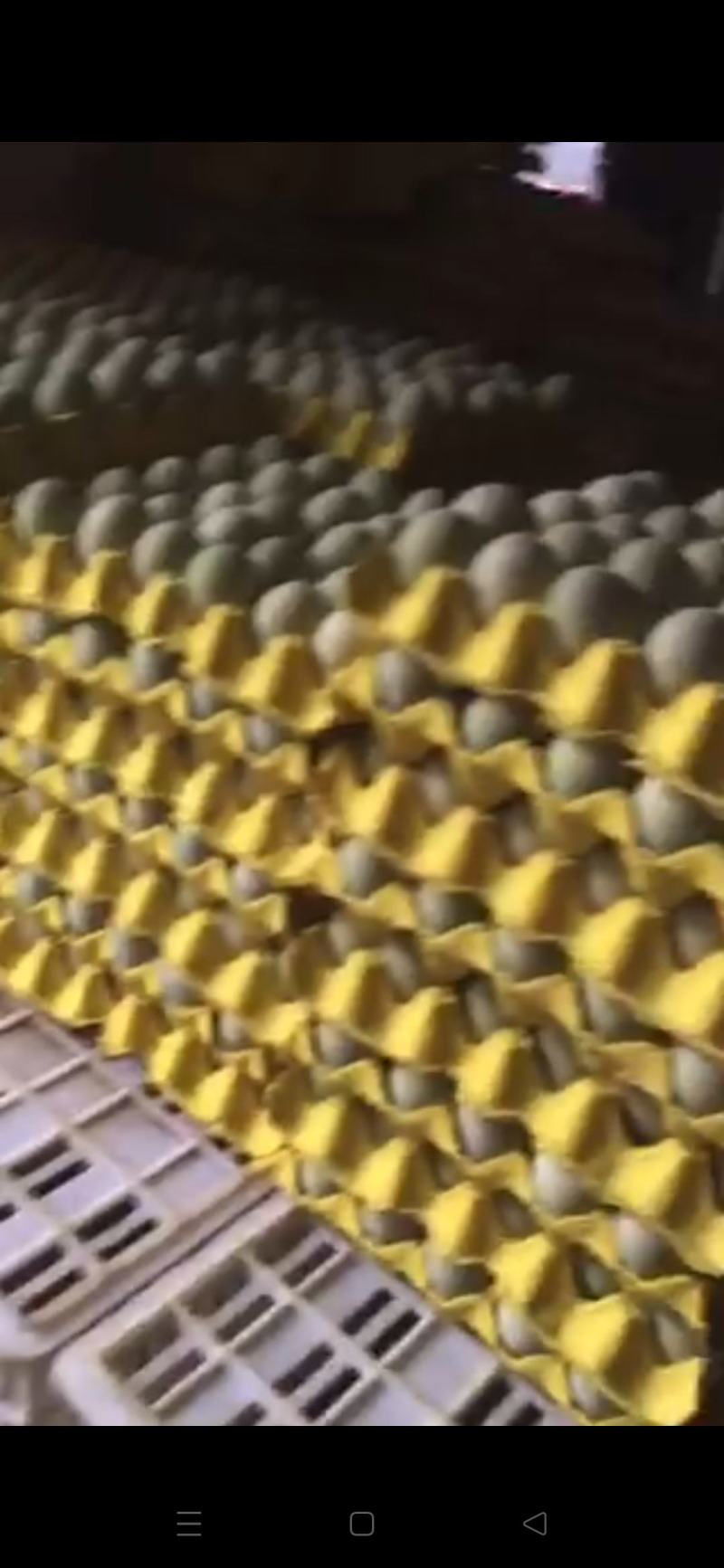 仙之味~鲜皮蛋