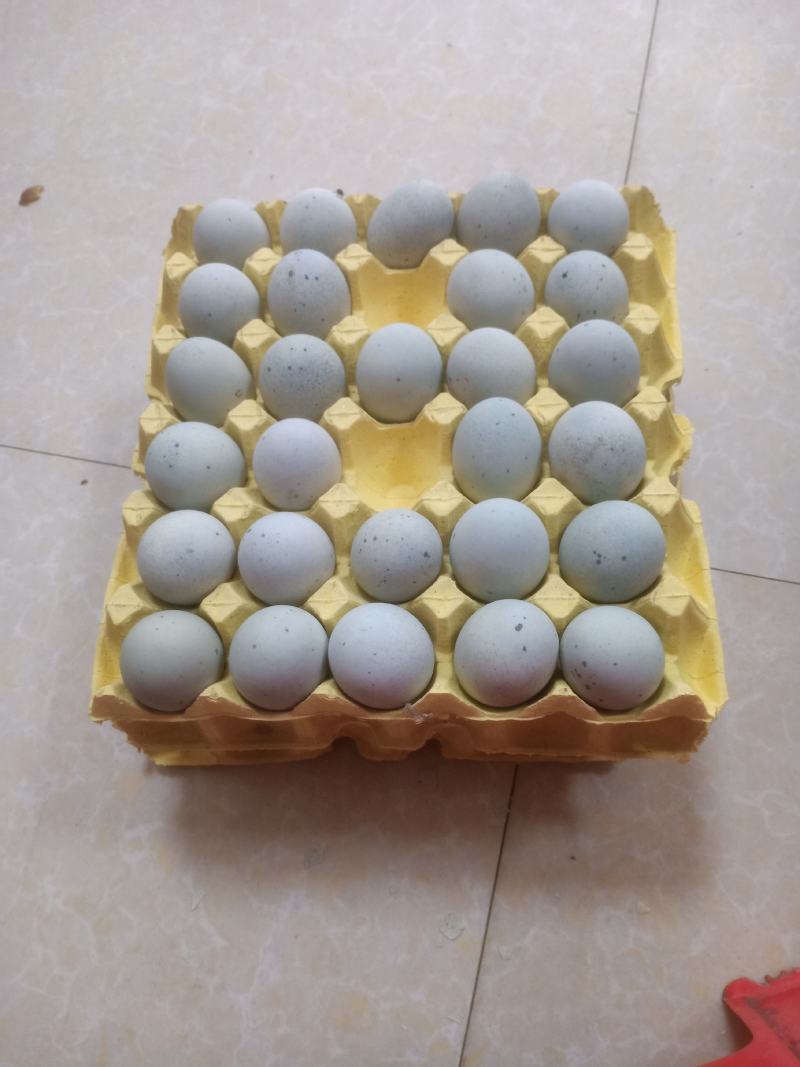 仙之味~鲜皮蛋
