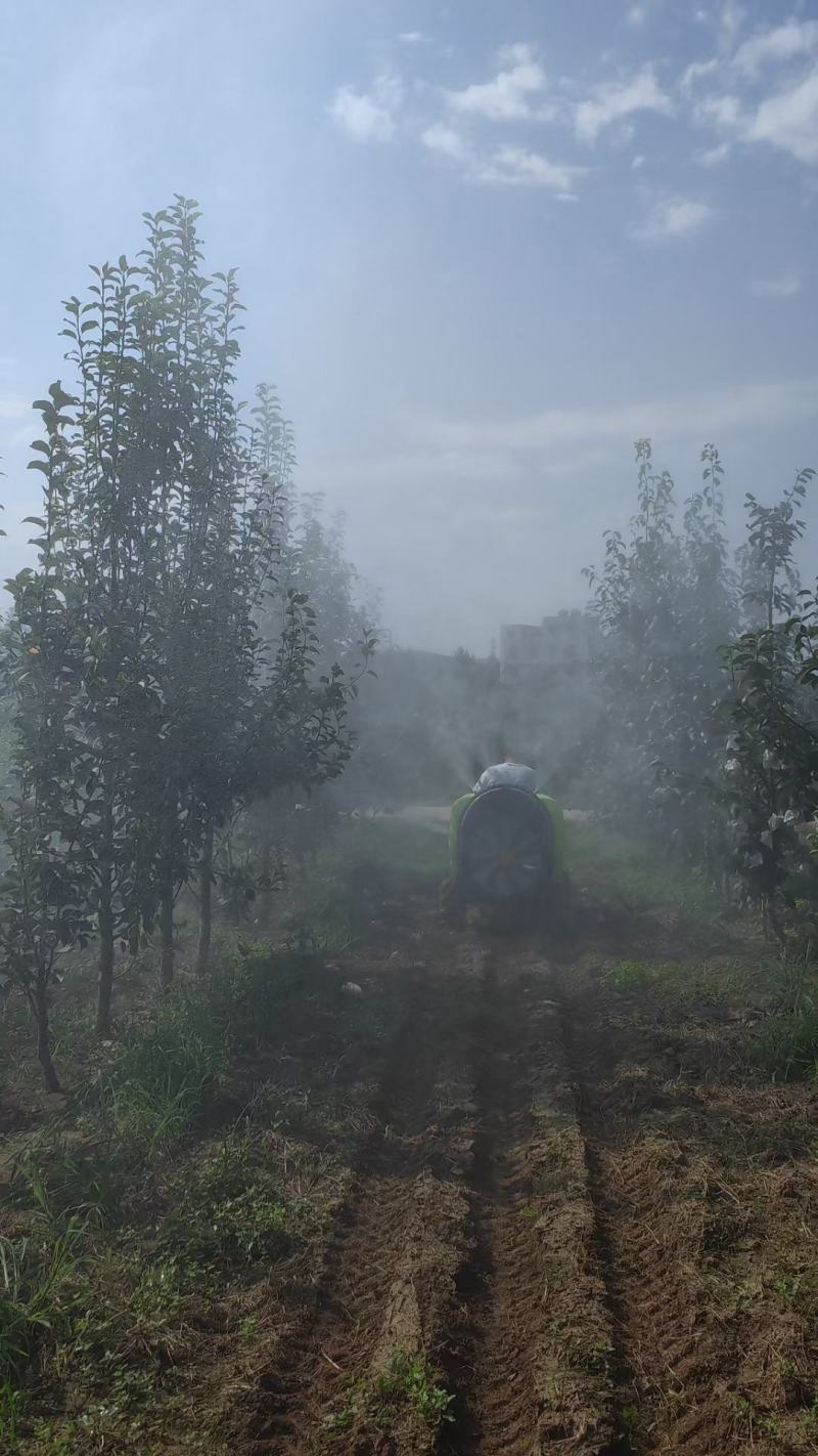 乘坐式，送风打药机，植保机械，果树专用打药机，果树植保机