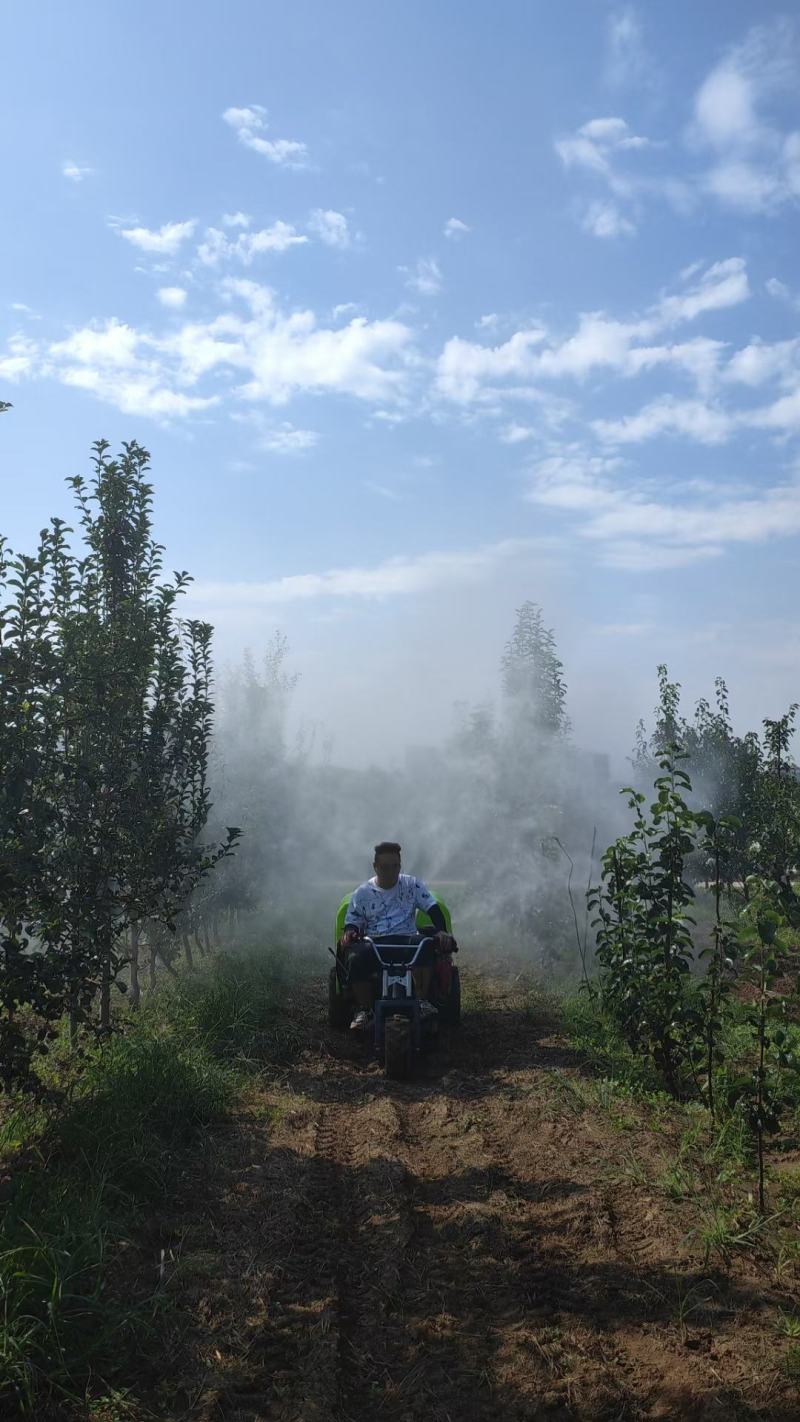 乘坐式，送风打药机，植保机械，果树专用打药机，果树植保机