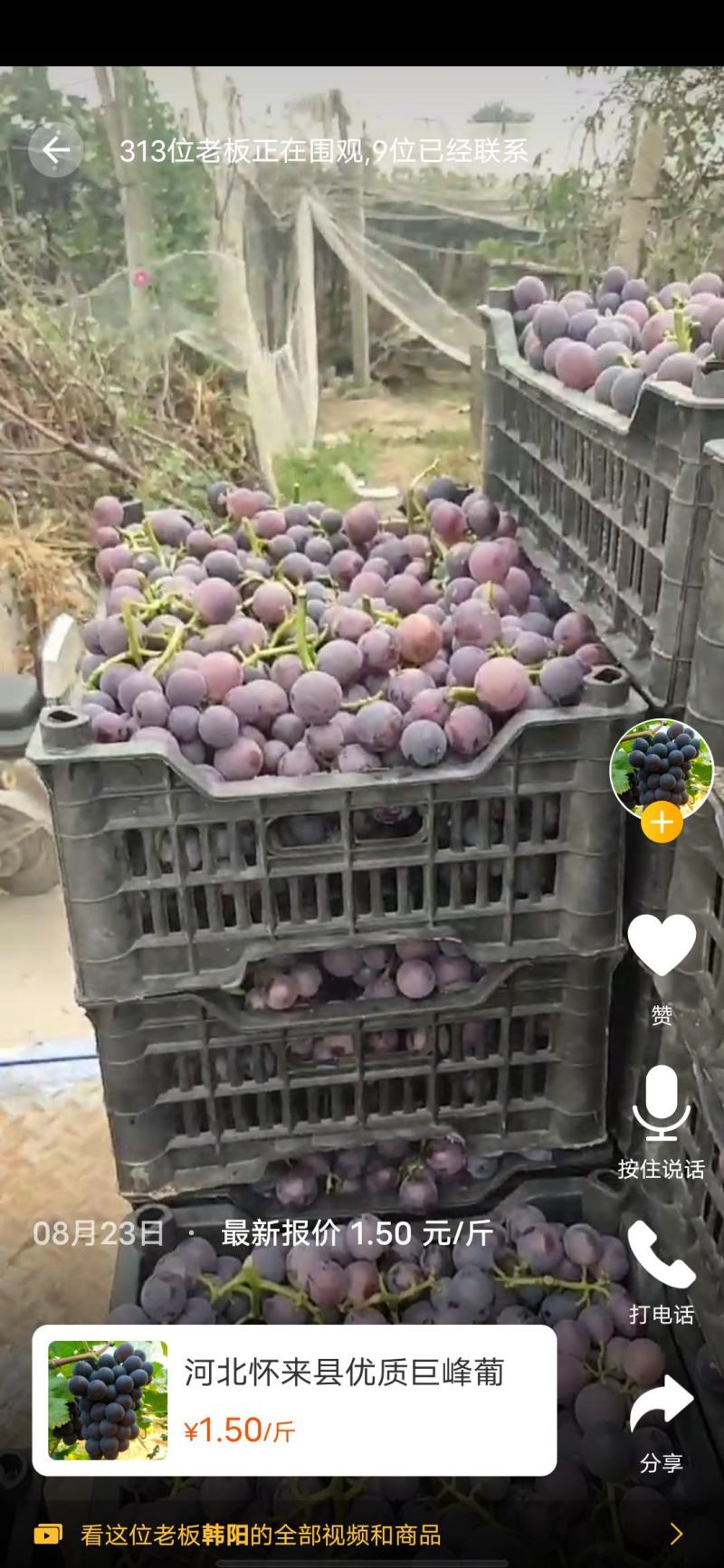 巨峰葡