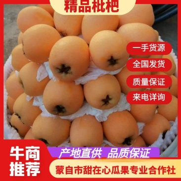 云南枇杷，产地直供，一手货源，品质保证，全国发货，来电咨