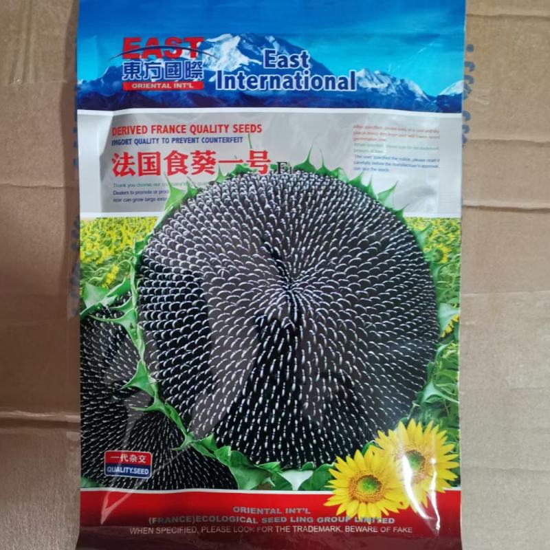 法国食葵一号种子可以吃的瓜子食葵种子向日葵种子