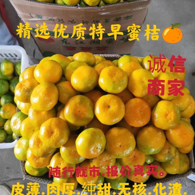精品东江湖特早蜜桔上市了，本人收货每天有真实视频以及图片