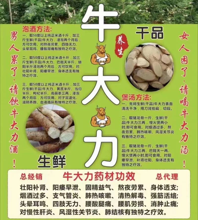 牛大力/野生牛大力/煲汤好食材