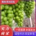 山东葡萄《抢购》临沂万亩阳光玫瑰葡萄产地看货义价专业代收
