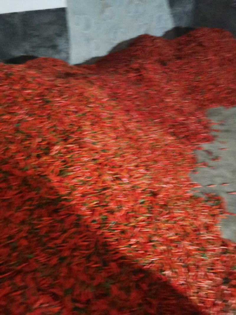 椒中玉