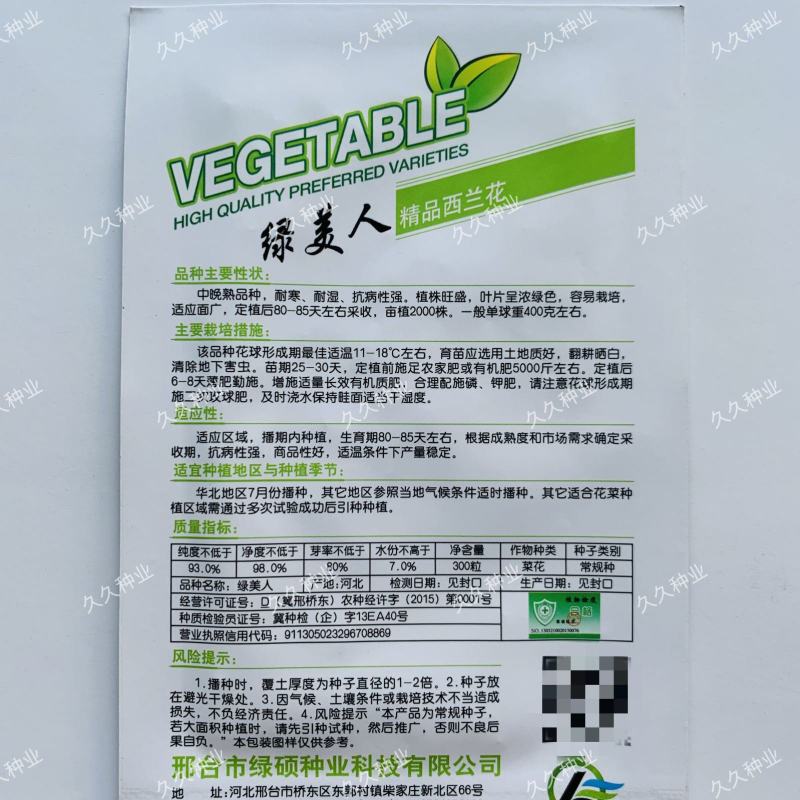 抗热西兰花种子绿美人西兰花耐热耐湿高产农家夏秋播