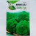 春秋佳丽西兰花种子绿花椰菜西蓝花花菜种籽秋季菜园播