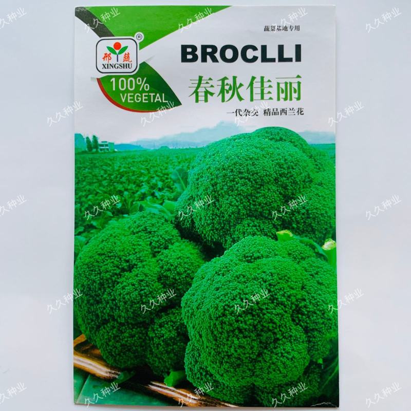 春秋佳丽西兰花种子绿花椰菜西蓝花花菜种籽秋季菜园播