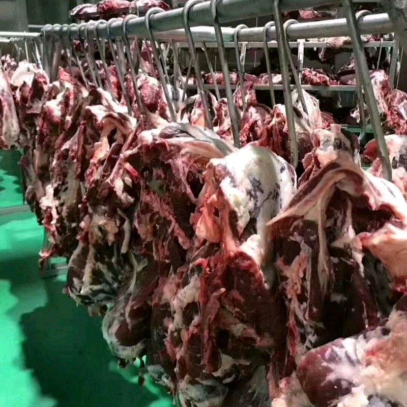 国产清真纯干鲜牛肉，纯绿色鲁西小黄牛，手续齐全，精修去油