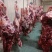 国产清真纯干鲜牛肉，纯绿色鲁西小黄牛，手续齐全，精修去油