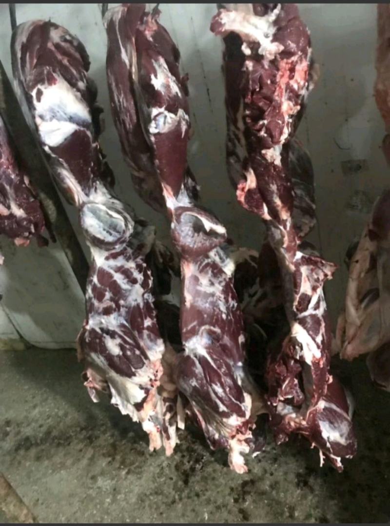国产清真纯干鲜牛肉，纯绿色鲁西小黄牛，手续齐全，精修去油