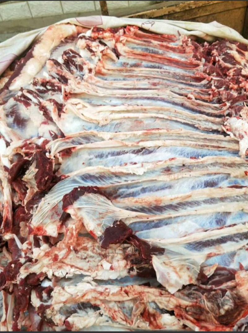 国产清真纯干鲜牛肉，纯绿色鲁西小黄牛，手续齐全，精修去油