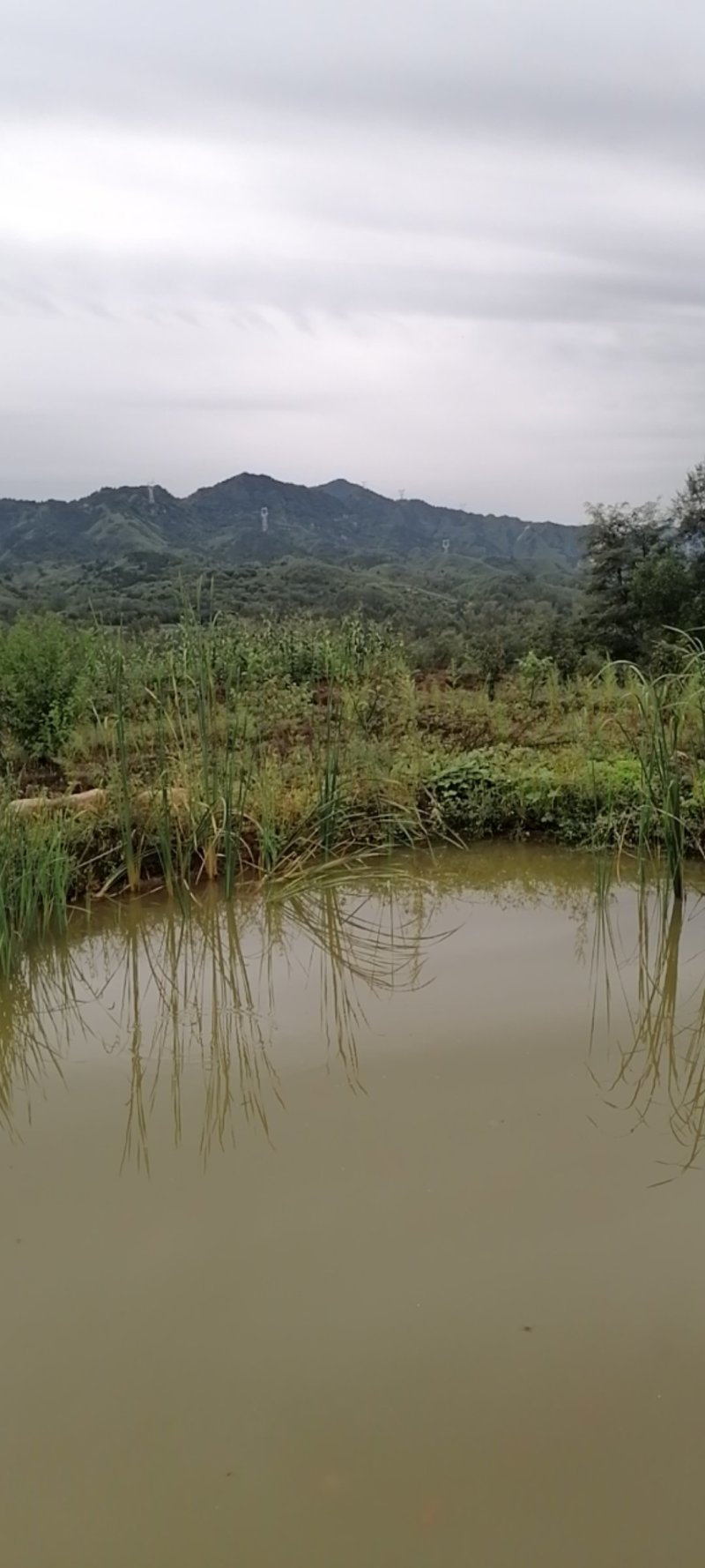 农场一块
