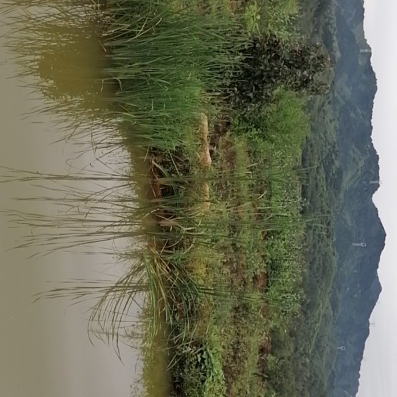 农场一块
