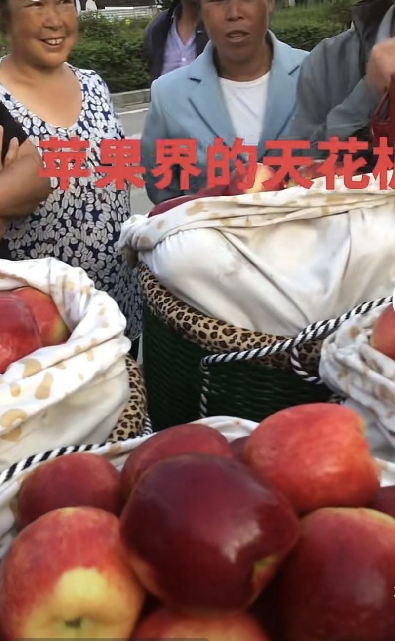 昭通市昭阳区苹果已大量上市。需要的老板请这一亩田上联系我