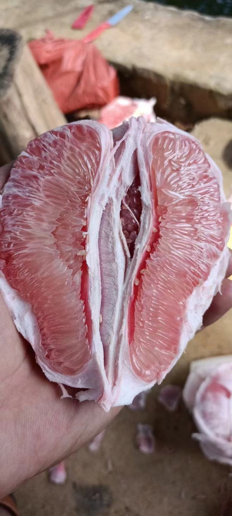三红柚
