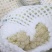河北精品有机花已大量上市，产地货源，品质保证，量大从优