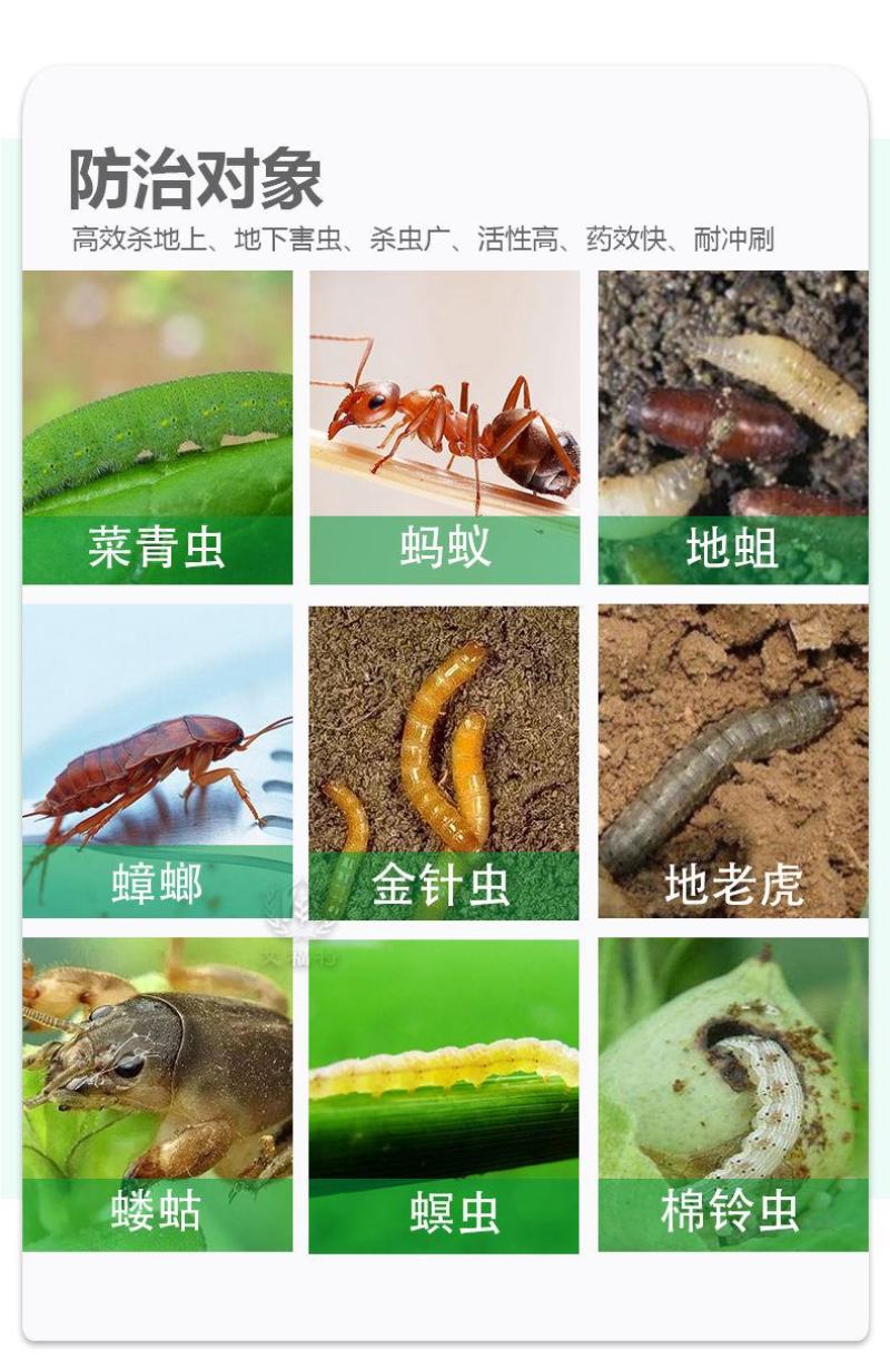 高效氯氟氰菊酯杀虫剂蚜虫菜青虫钻心虫地下害虫蔬菜果树农药