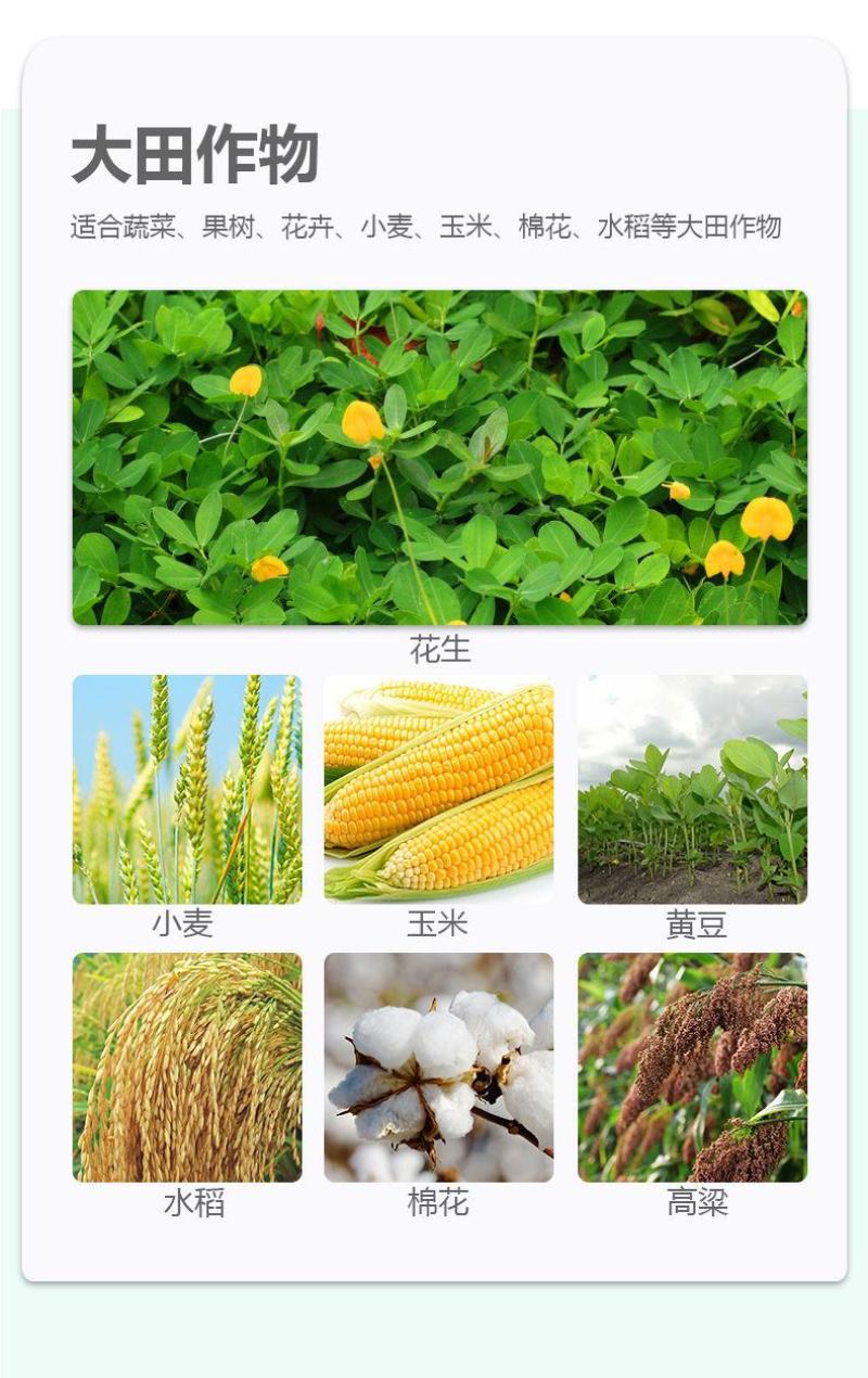 高效氯氟氰菊酯杀虫剂蚜虫菜青虫钻心虫地下害虫蔬菜果树农药