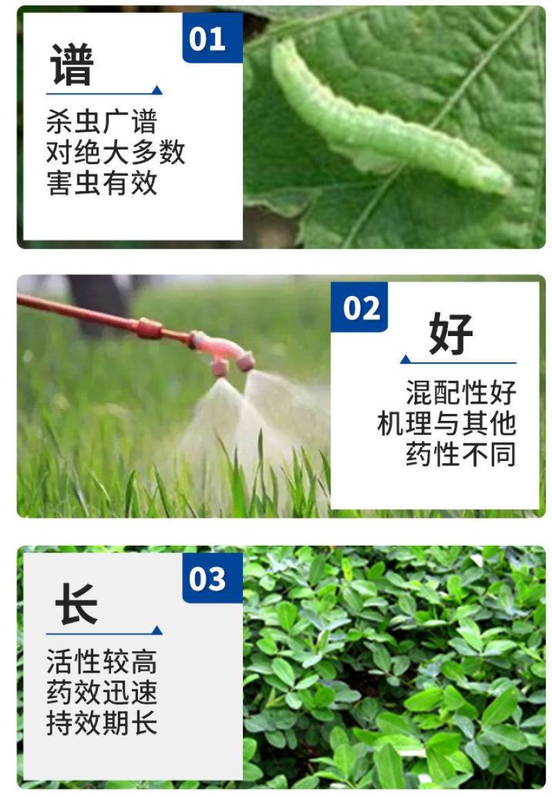 高效氯氟氰菊酯杀虫剂蚜虫菜青虫钻心虫地下害虫蔬菜果树农药