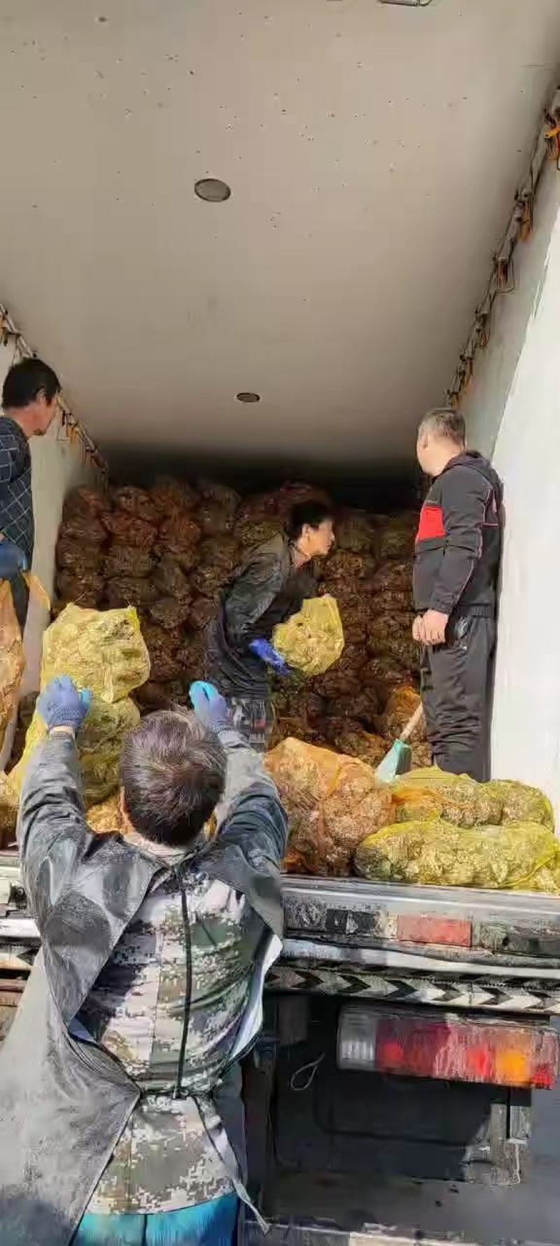 热销生蚝便宜大量出售，不怕便宜的私信。今年的生蚝大量上市
