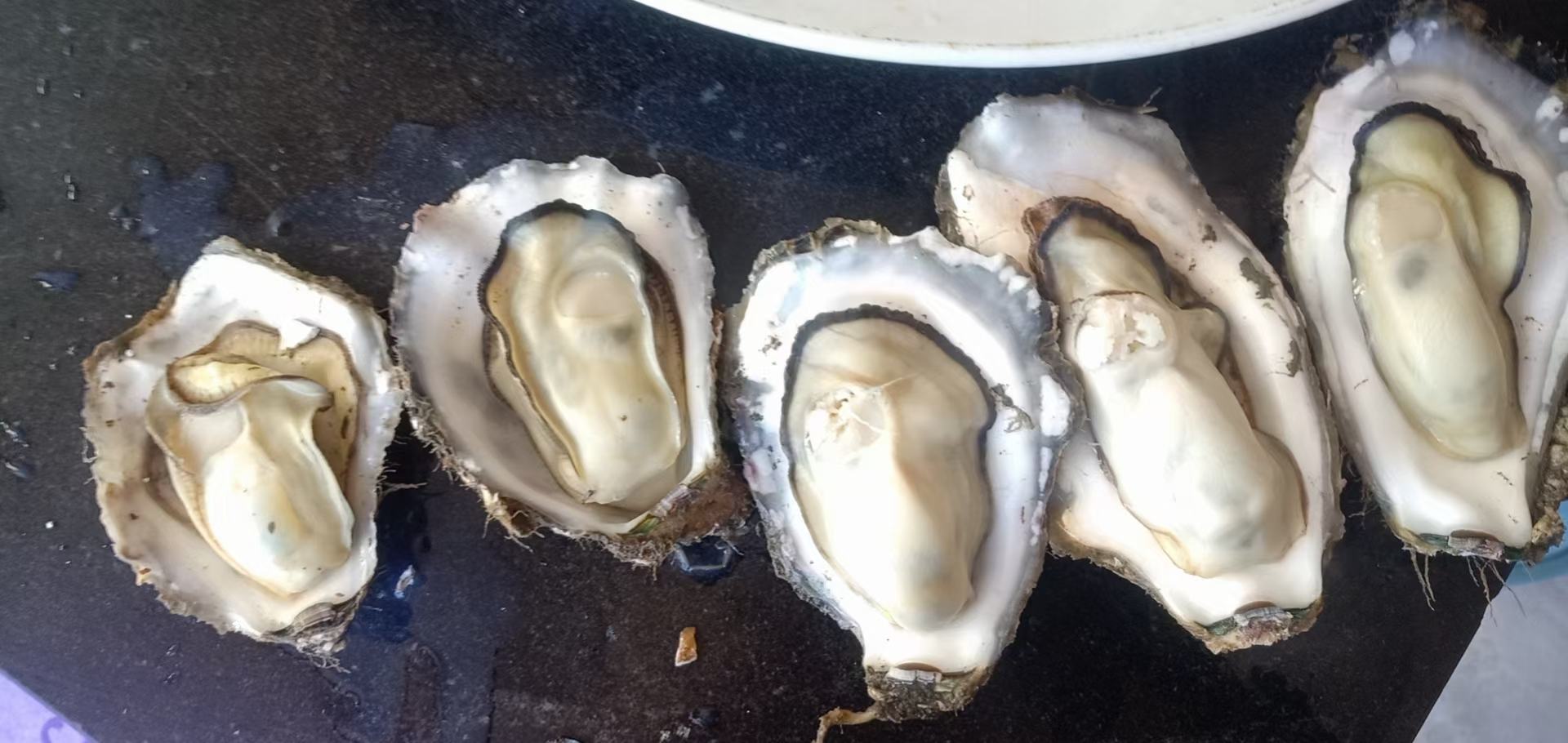 一位成年人正在用温度计检测生蚝内部温度