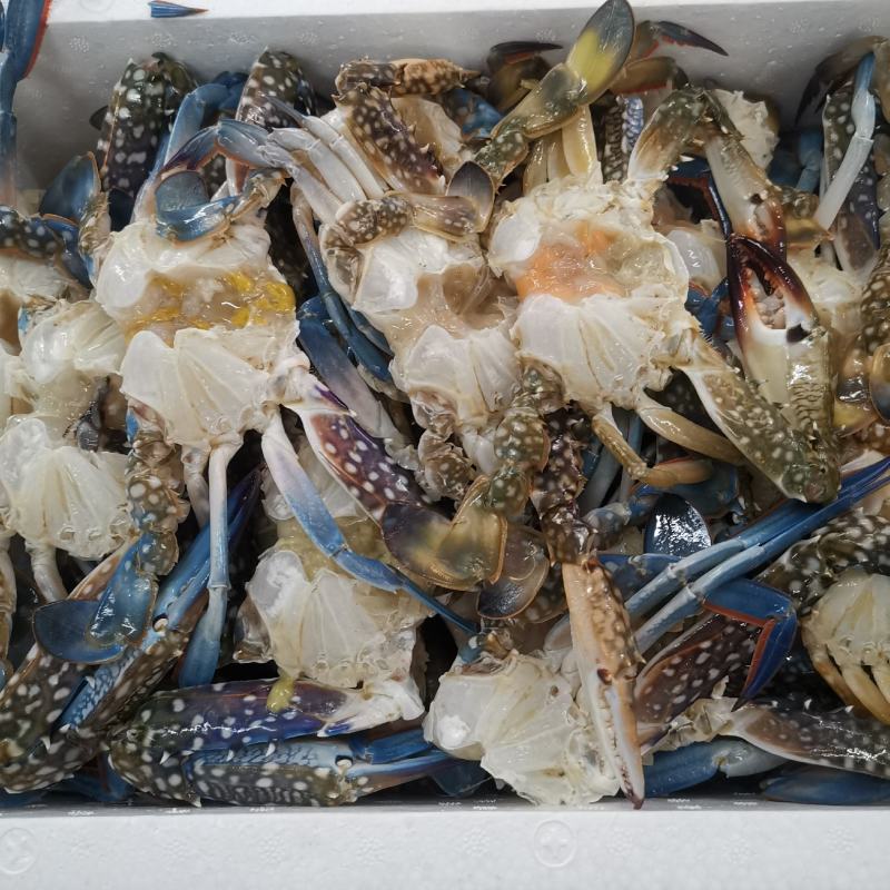 湛江本土冻蓝花精品蟹排，鲜度一流，美味可口。