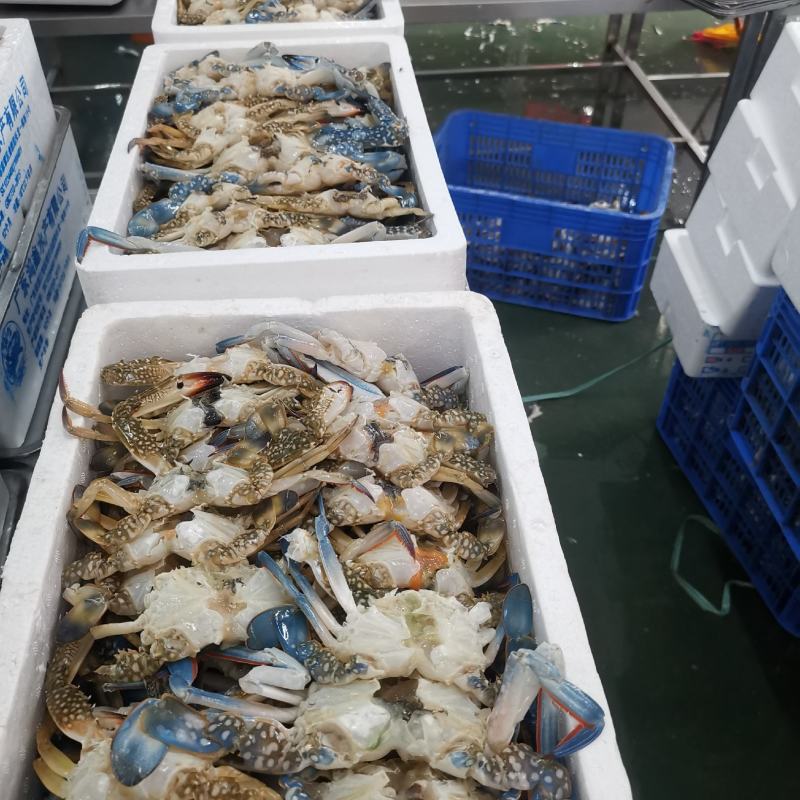湛江本土冻蓝花精品蟹排，鲜度一流，美味可口。