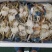 湛江本土冻蓝花精品蟹排，鲜度一流，美味可口。