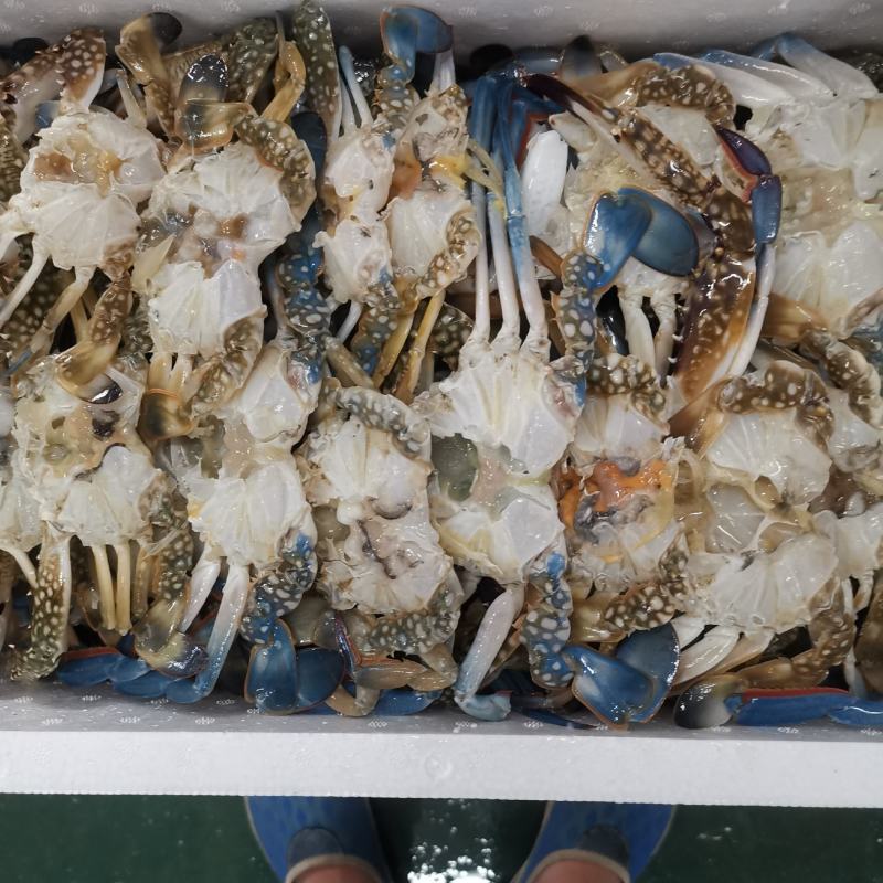 湛江本土冻蓝花精品蟹排，鲜度一流，美味可口。