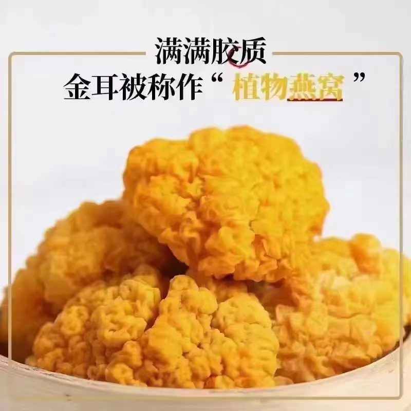 金耳菌包种植