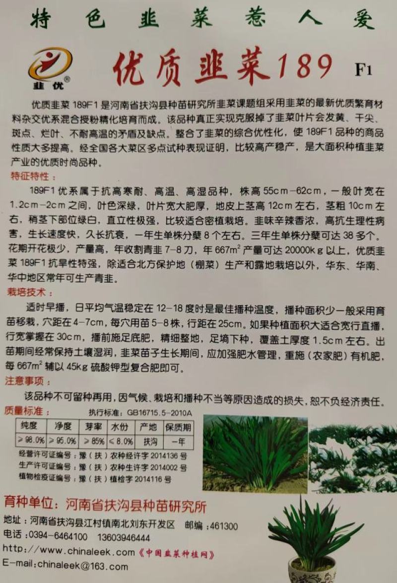 四季青韭菜种子一代杂交种不休眠大叶韭菜种子等您来电