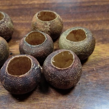 新会柑茶枝柑壳新会柑干壳陈皮柑皮干壳自制小青柑茶壳