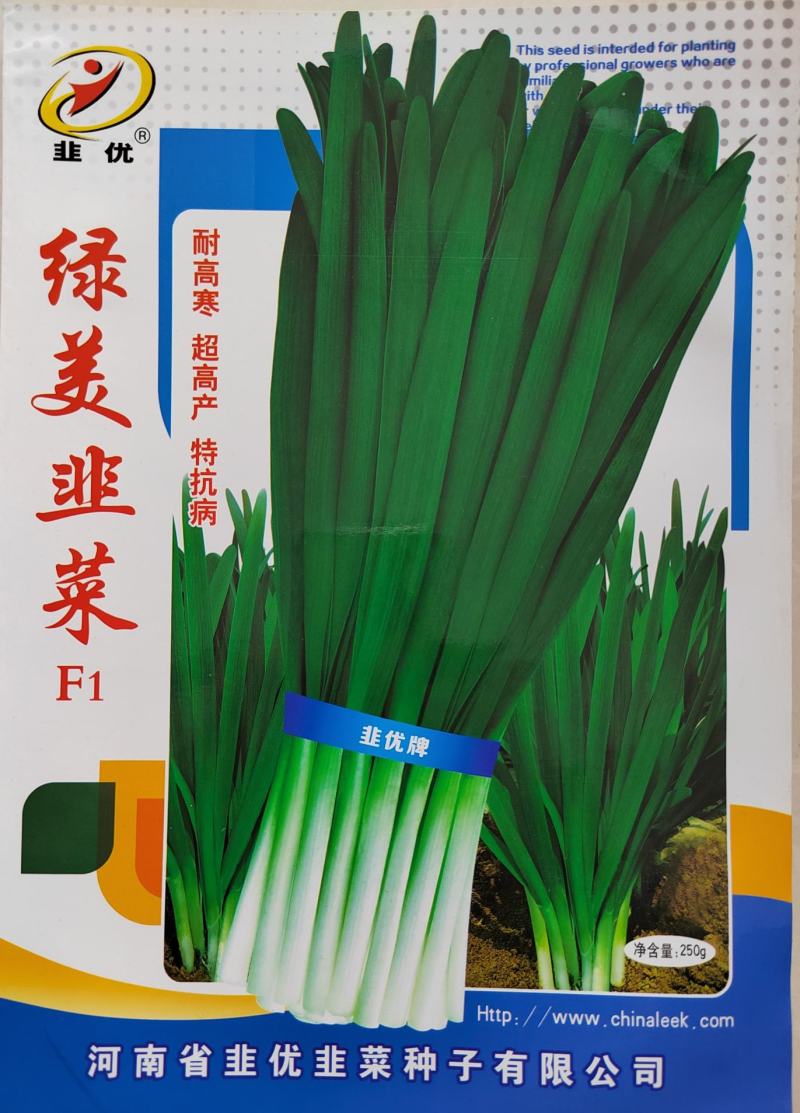 韭菜种子韭黄种子种齐全种子公司直发品质优技术指导