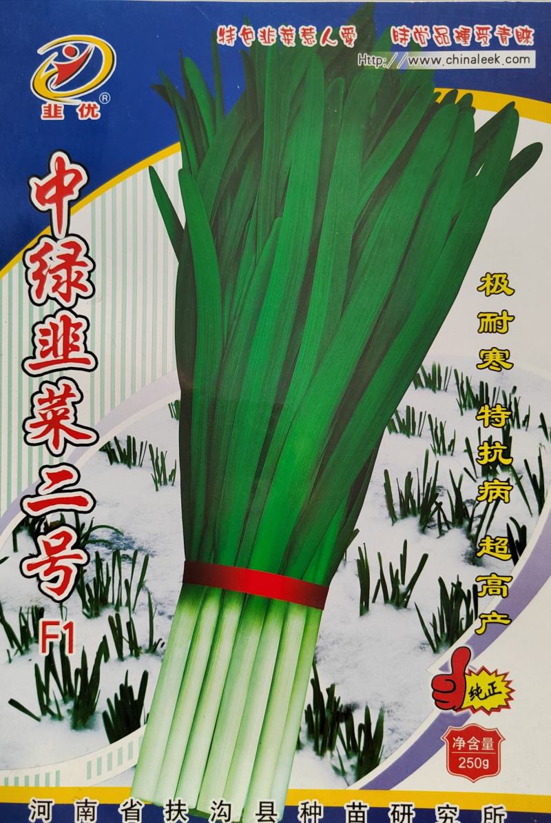 韭菜种子韭黄种子种齐全种子公司直发品质优技术指导