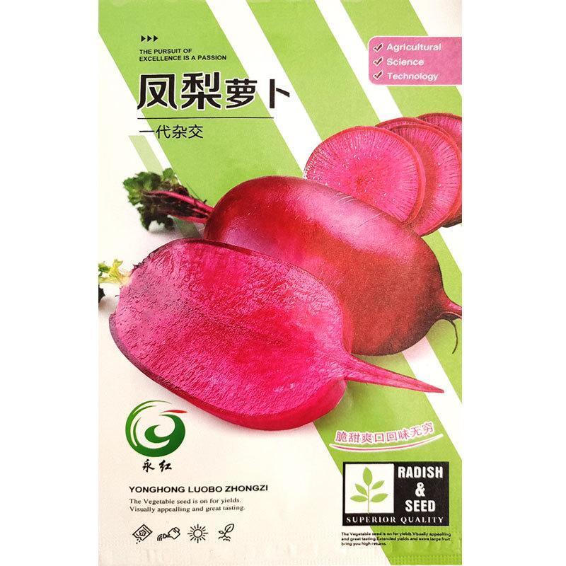 凤梨萝卜种子紫美人红心红皮水果萝卜籽秋冬四季蔬菜种孑阳台